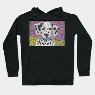 Dalmatian Puppy dog Hoodie